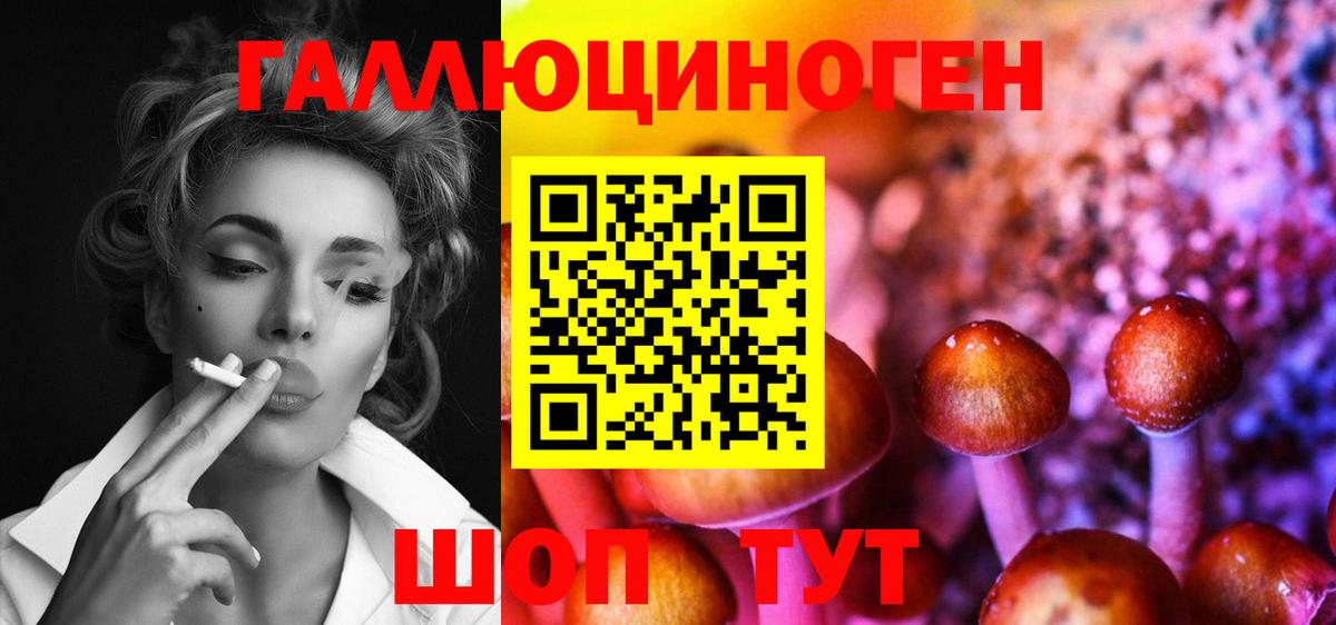 закладки  Галлюциногенные грибы Magic Shrooms  Вход с VPN  Шелехов 